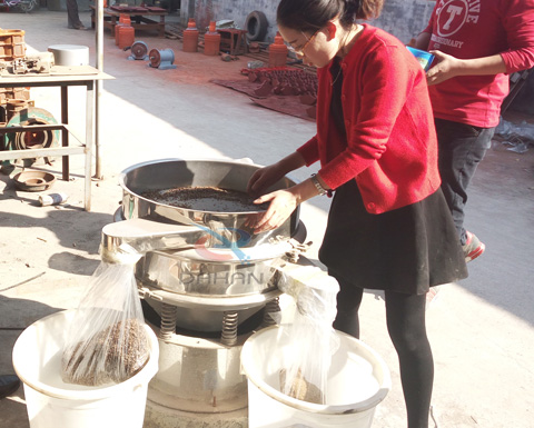 苦荞茶分级旋振筛