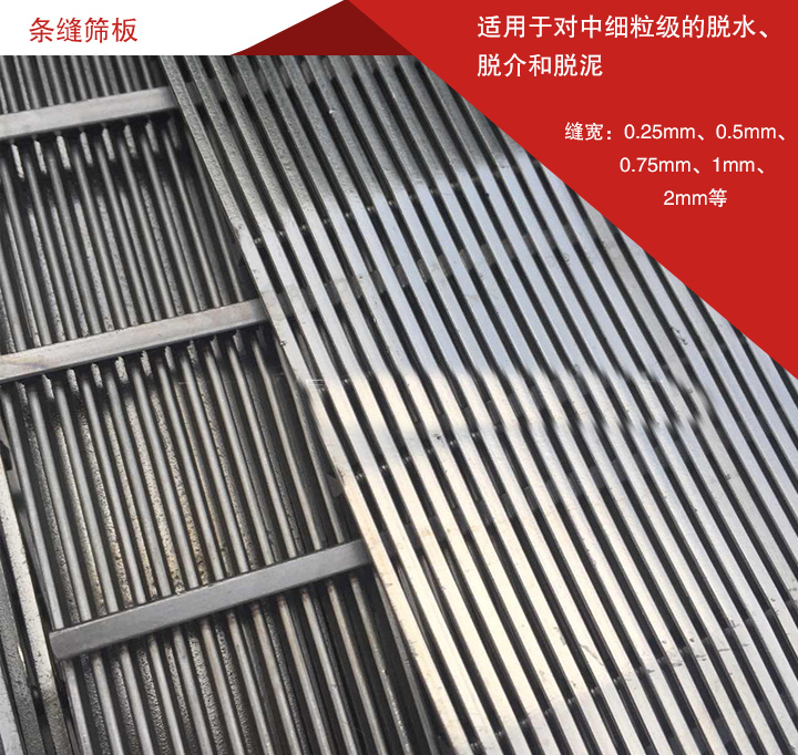 条缝筛板
